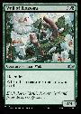 Wall of Blossoms