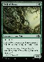 Wall of Roots