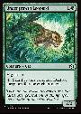 Undergrowth Leopard