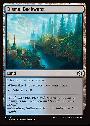 Dismal Backwater