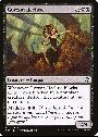 Gorgon Recluse