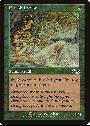 Elvish Lyrist