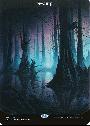 Swamp
