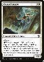 Custodi Squire