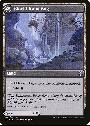 Blackbloom Rogue // Blackbloom Bog
